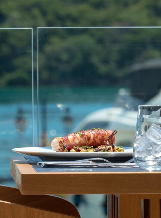 Delicium Custom Image